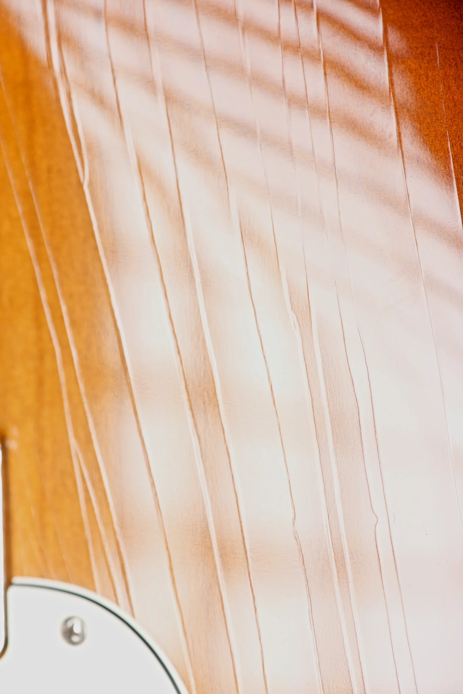 Feline alder S-type roasted maple neck relic sunburst - Image 10