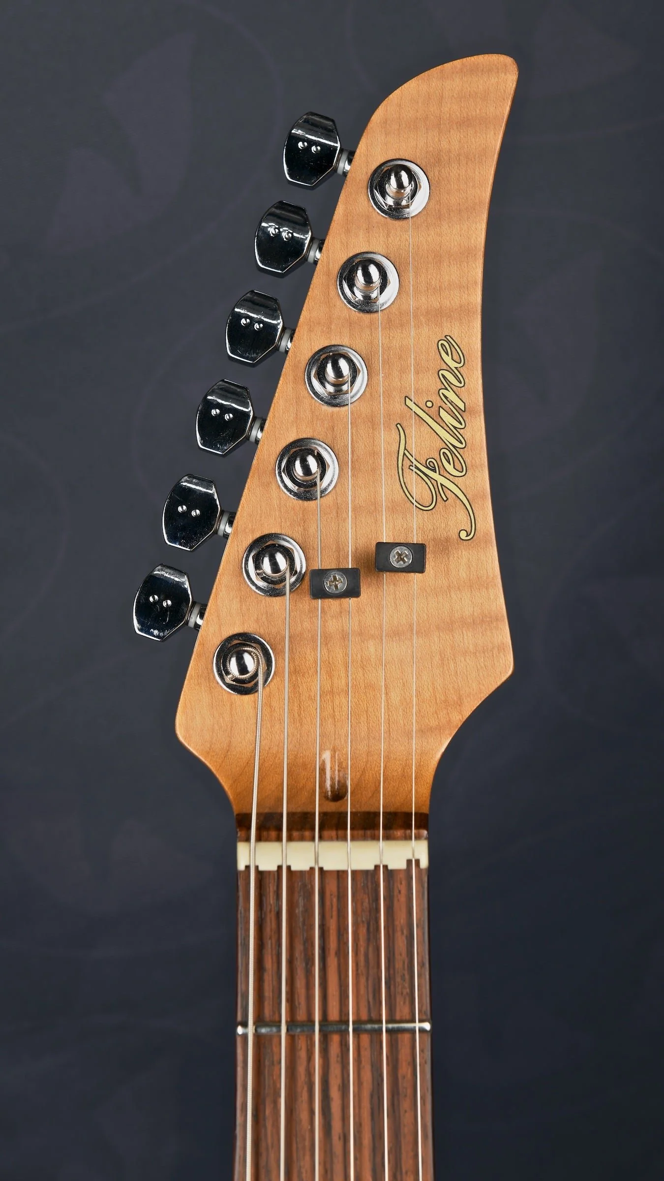Feline alder S-type roasted maple neck relic sunburst - Image 6