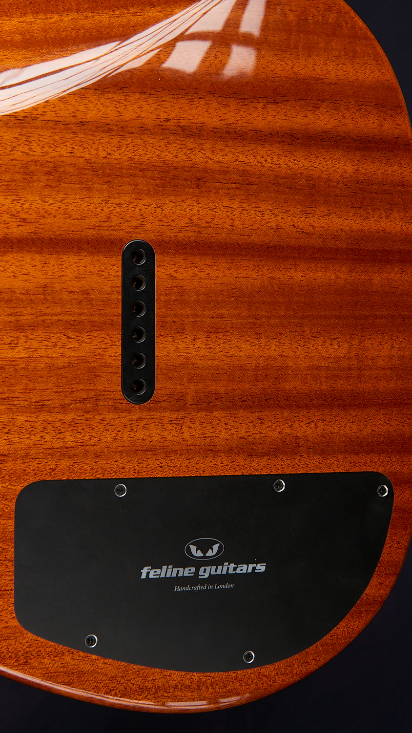Feline Tabby Bobcat mahogany & flame maple - Image 10