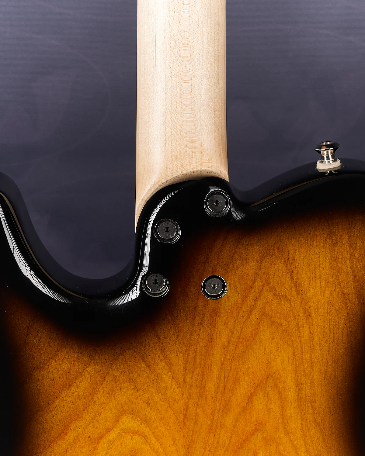 Feline Tabby Classic Tobacco Sunburst - Image 5