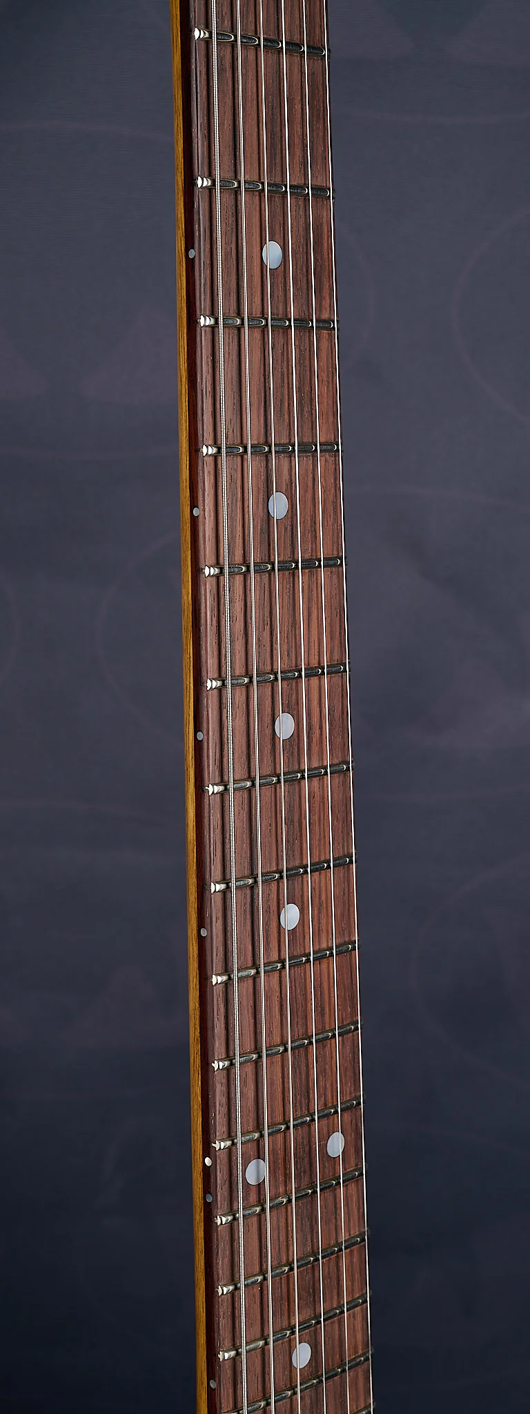 Feline V58 - KORINA (SOMA) - Image 14