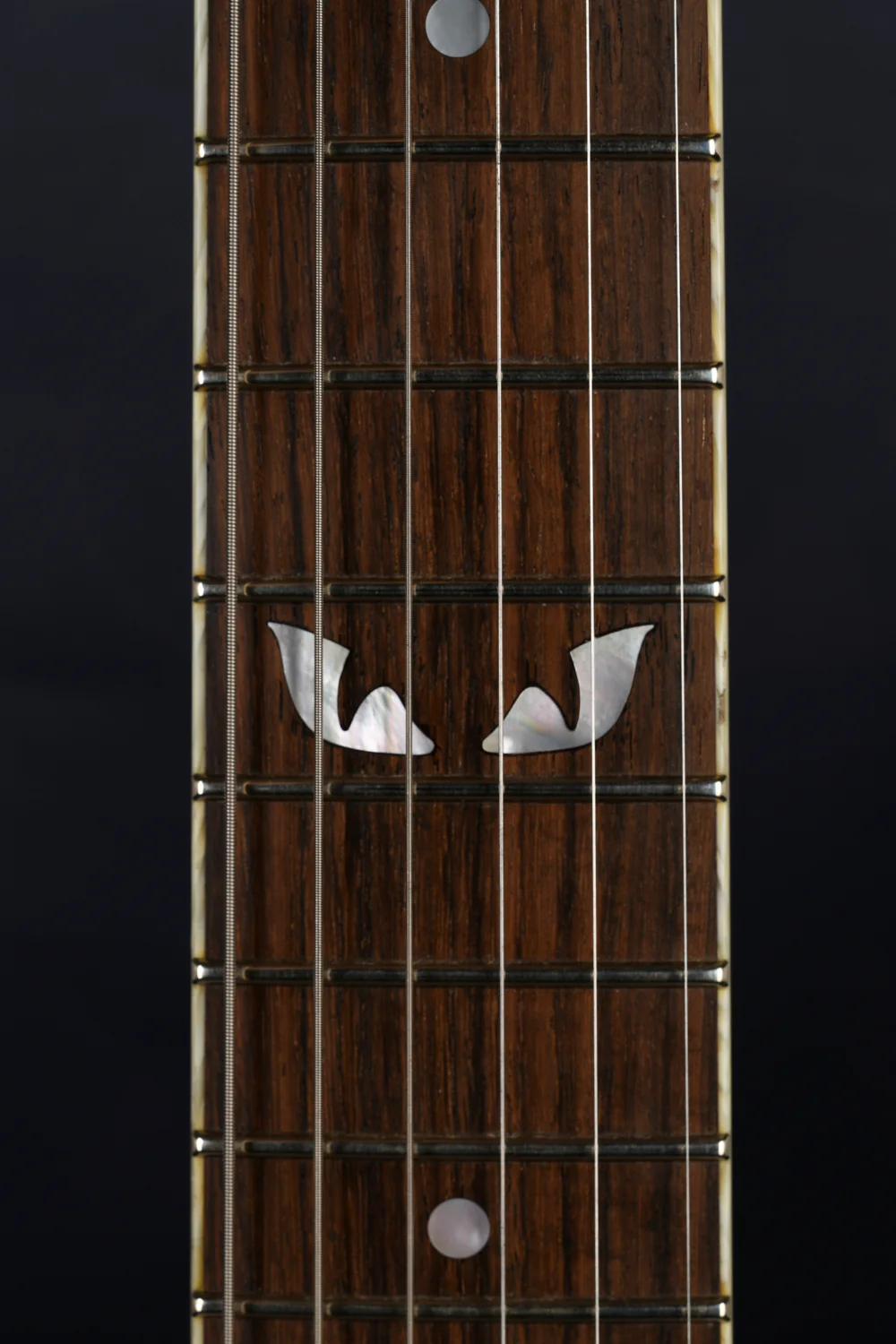 S-TYPE HARDTAIL - ROASTED MAPLE NECK - Image 10