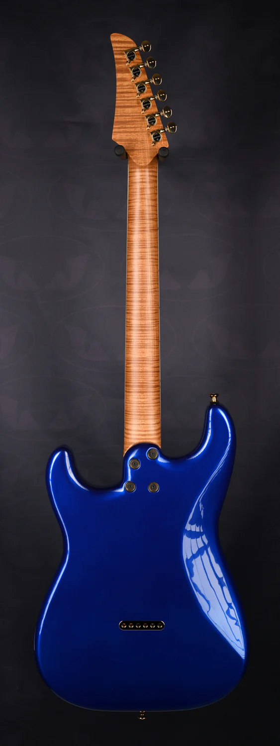 S-TYPE HARDTAIL - ROASTED MAPLE NECK - Image 4