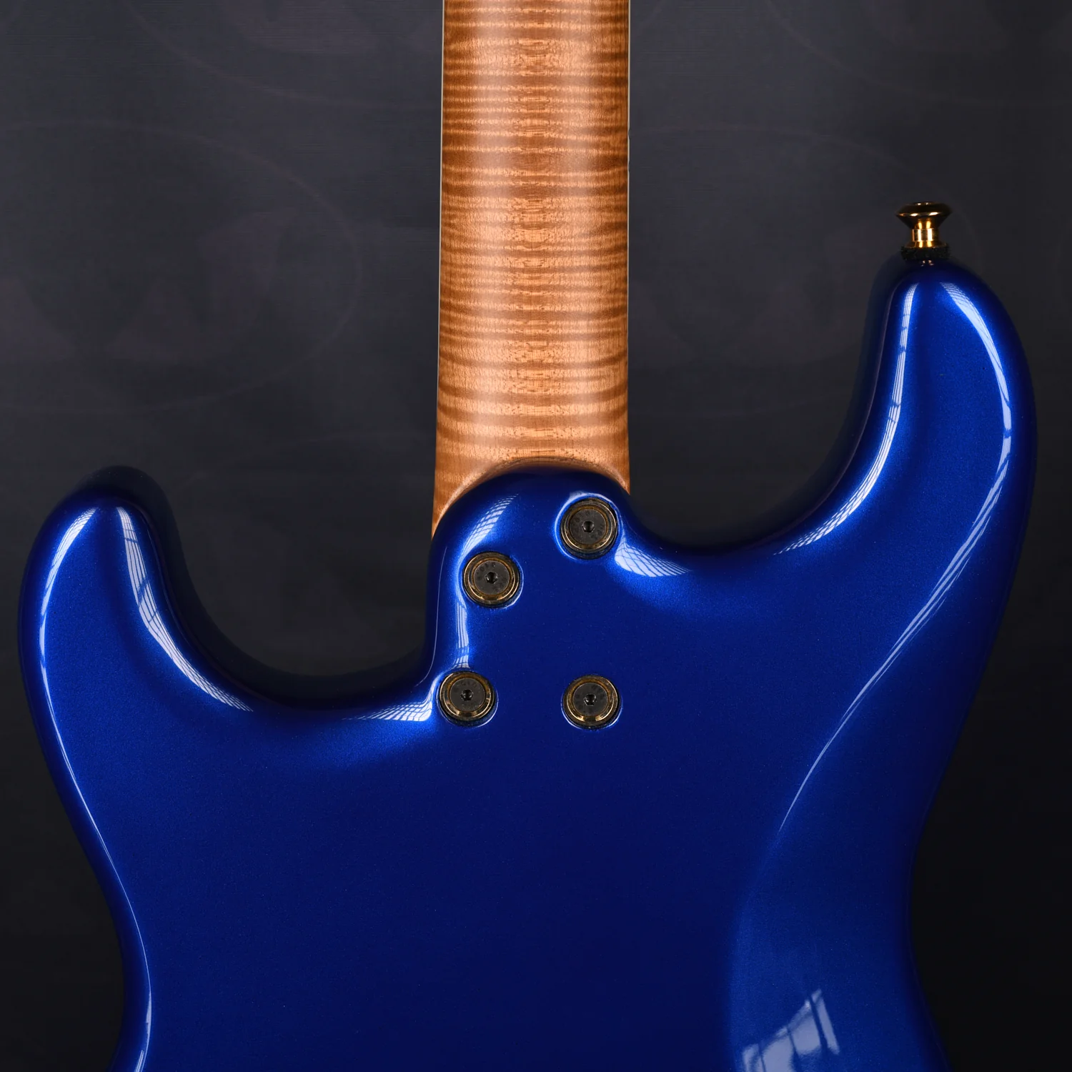 S-TYPE HARDTAIL - ROASTED MAPLE NECK - Image 5