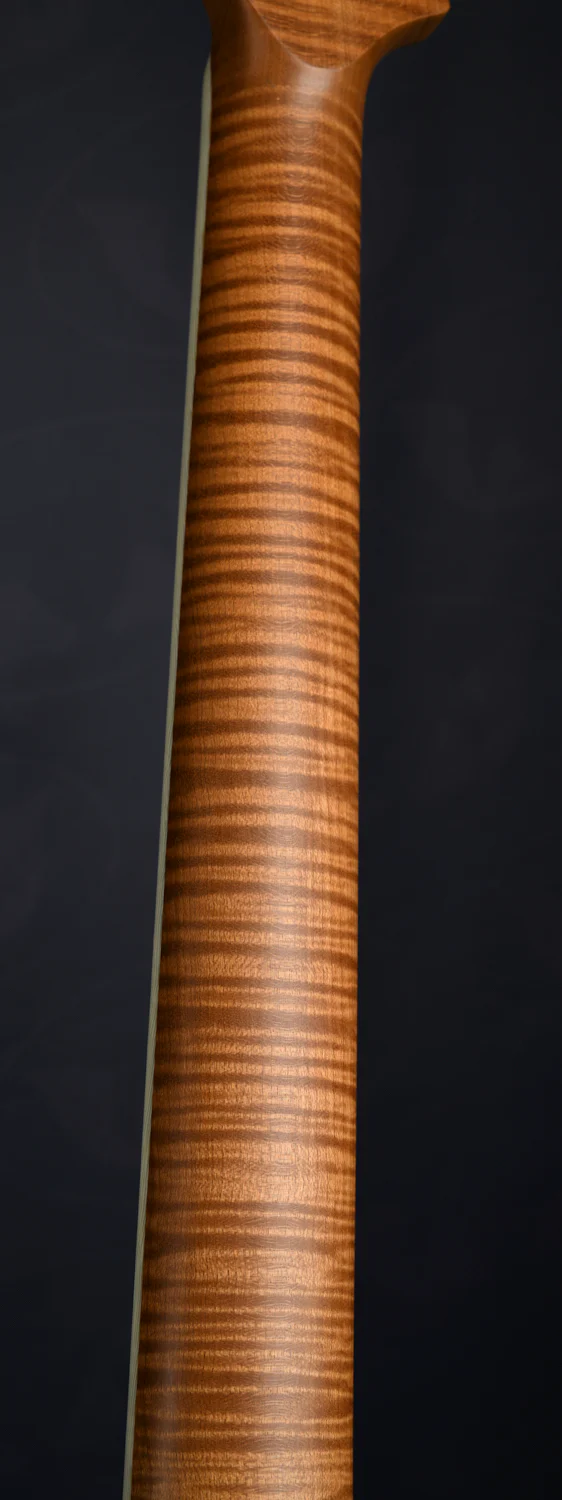 S-TYPE HARDTAIL - ROASTED MAPLE NECK - Image 6