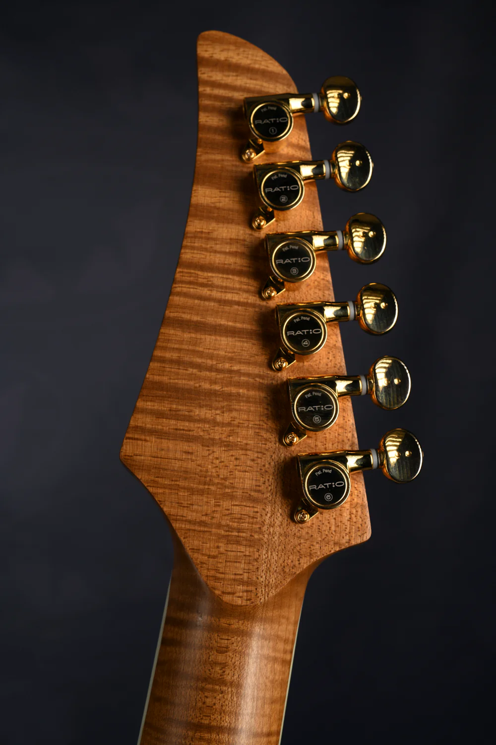 S-TYPE HARDTAIL - ROASTED MAPLE NECK - Image 7
