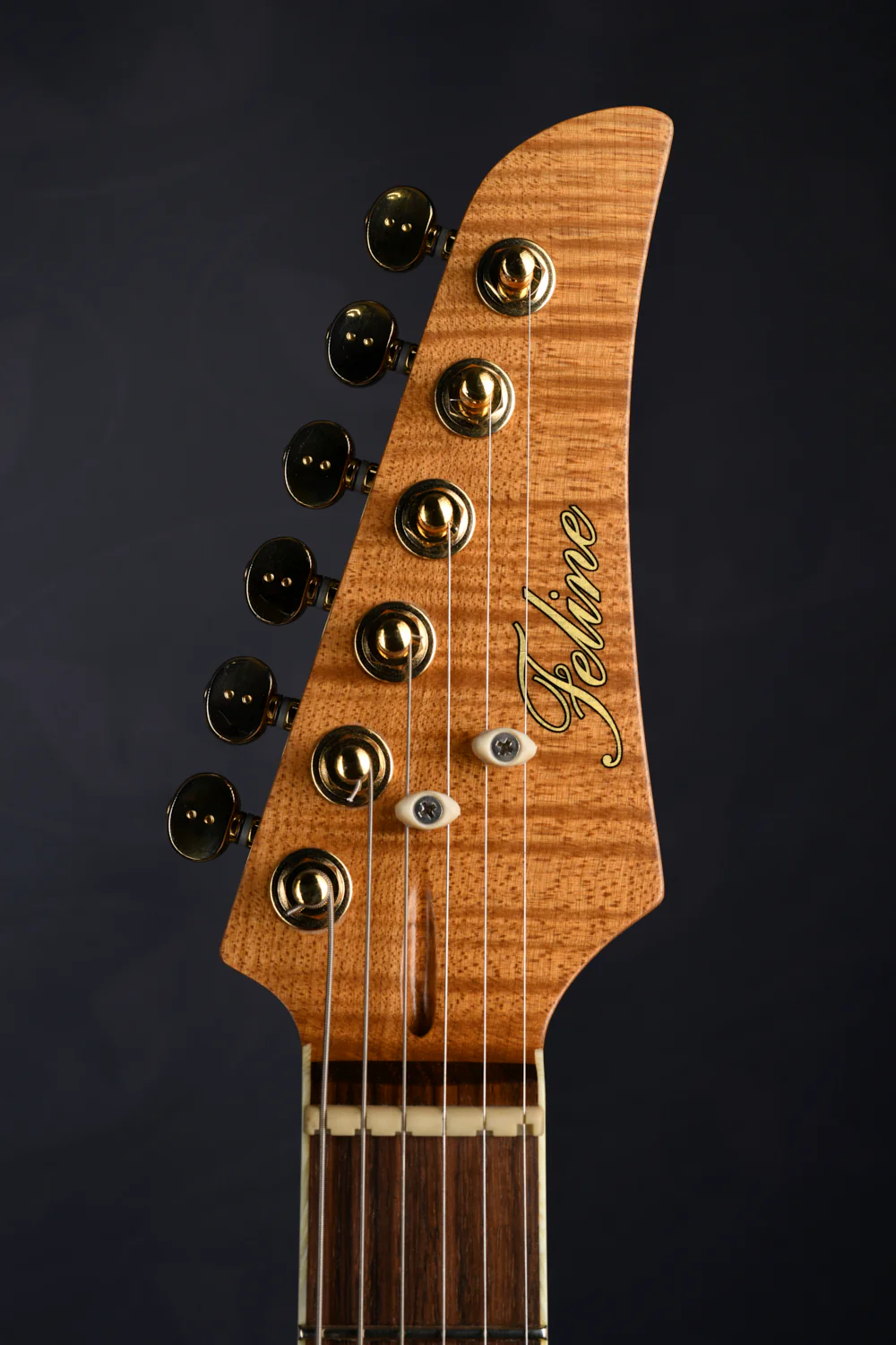 S-TYPE HARDTAIL - ROASTED MAPLE NECK - Image 8