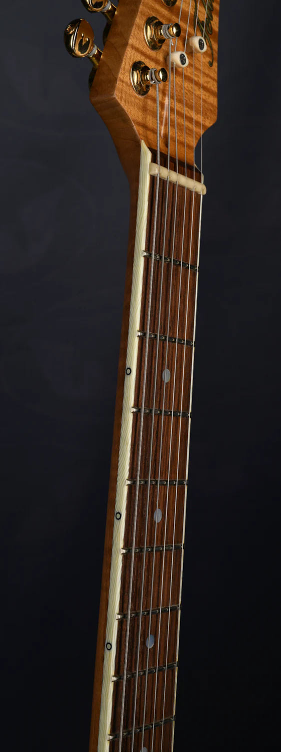 S-TYPE HARDTAIL - ROASTED MAPLE NECK - Image 9
