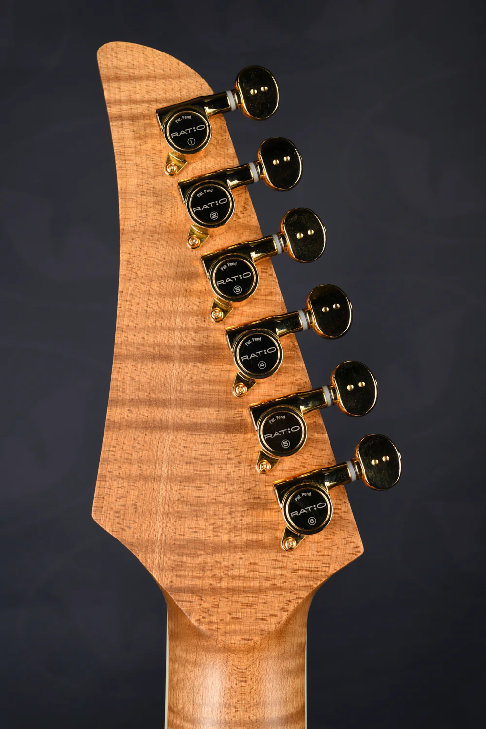 TABBY HYBRID HARDTAIL - ROASTED MAPLE NECK - Image 10