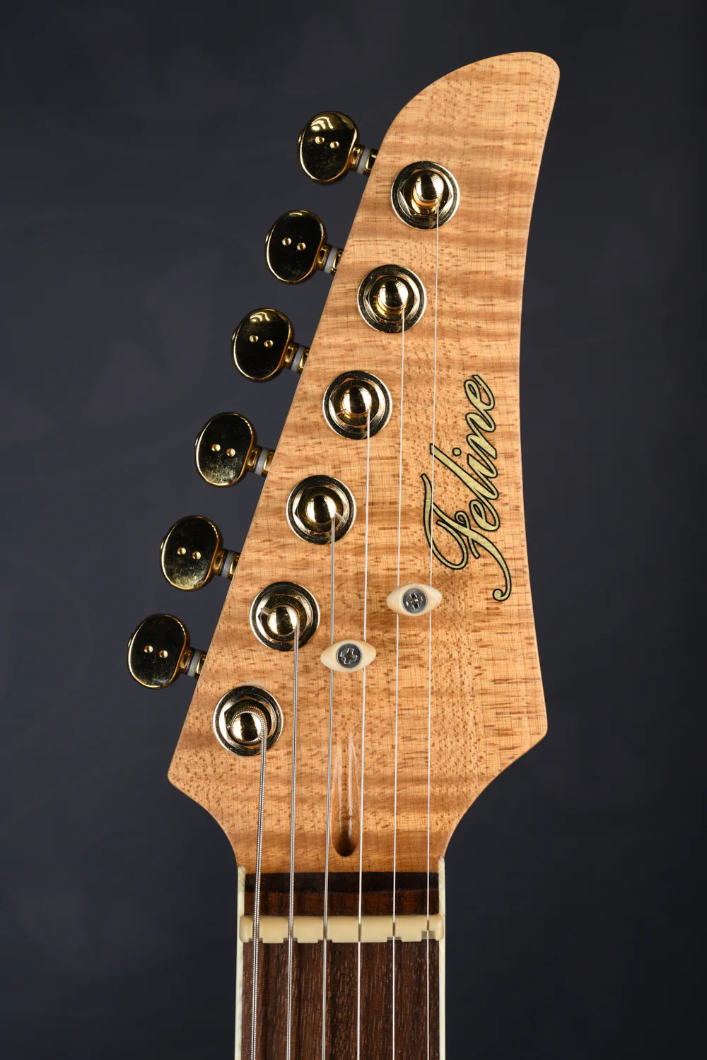 TABBY HYBRID HARDTAIL - ROASTED MAPLE NECK - Image 5