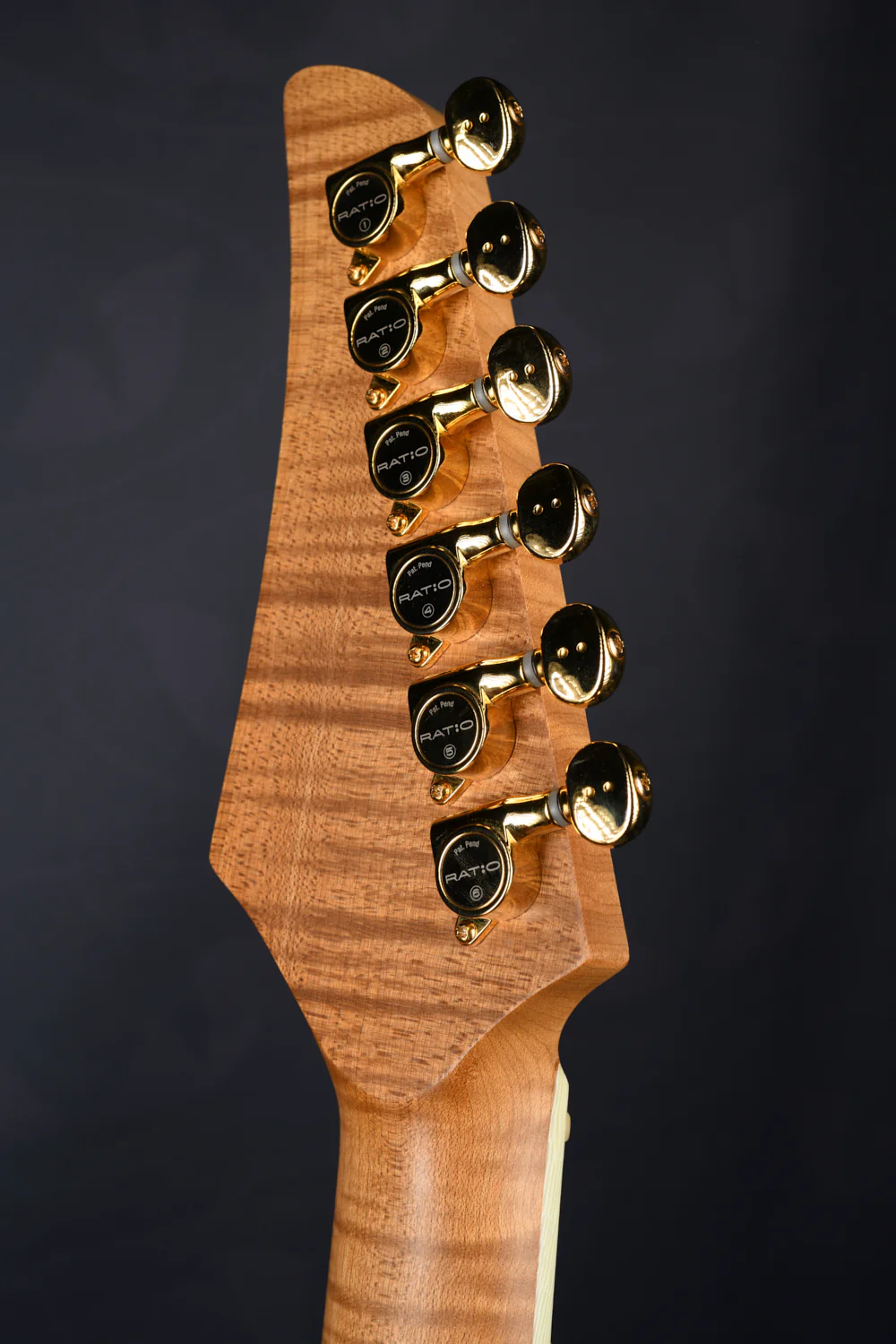 TABBY HYBRID HARDTAIL - ROASTED MAPLE NECK - Image 6