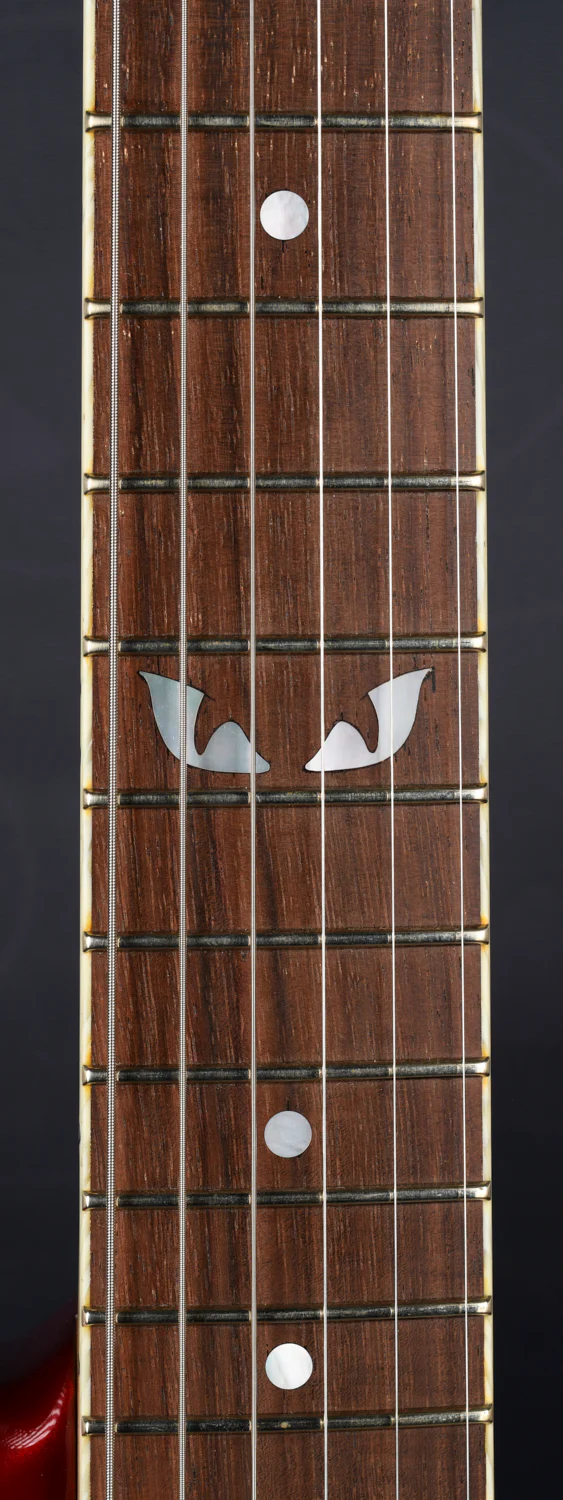 TABBY HYBRID HARDTAIL - ROASTED MAPLE NECK - Image 7
