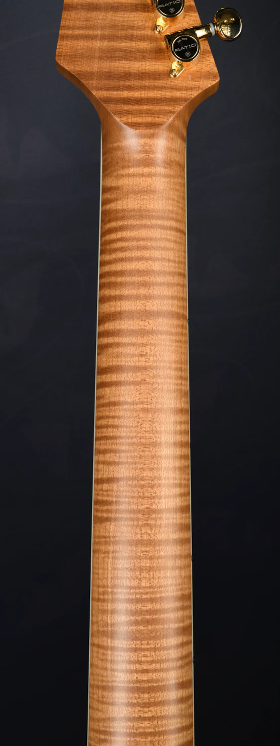 TABBY HYBRID HARDTAIL - ROASTED MAPLE NECK - Image 8