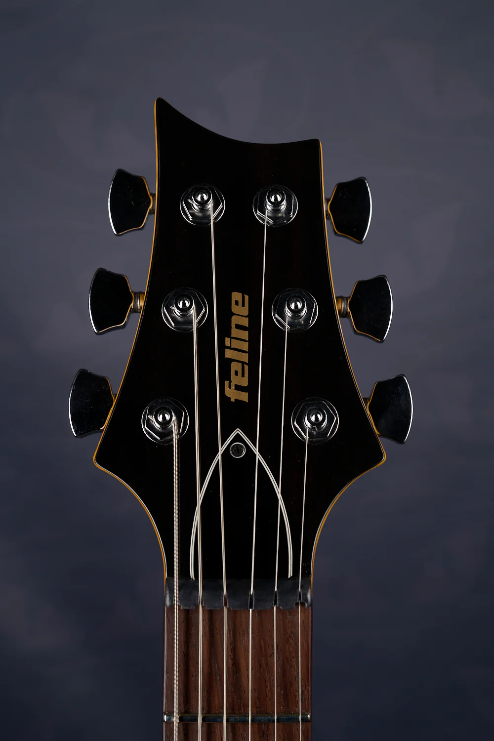 TIGER STANDARD GOLDTOP WITH PIEZO - Image 8